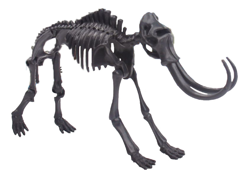 Juego De Excavación Mamut Con Herramientas Juguete Educativo